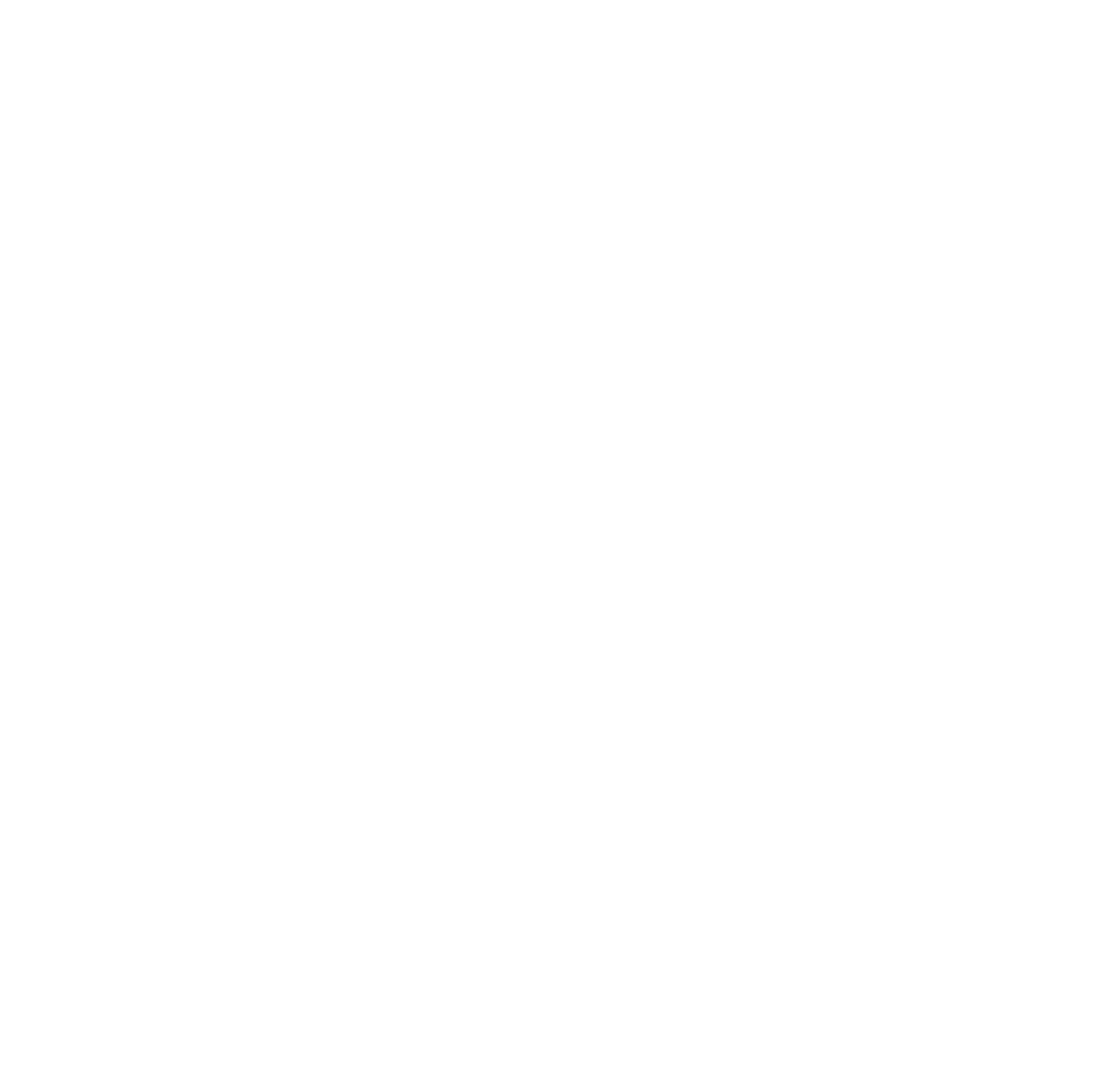 ZP Logo Kontur Weiss